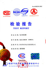 南通电力变压器检测报告